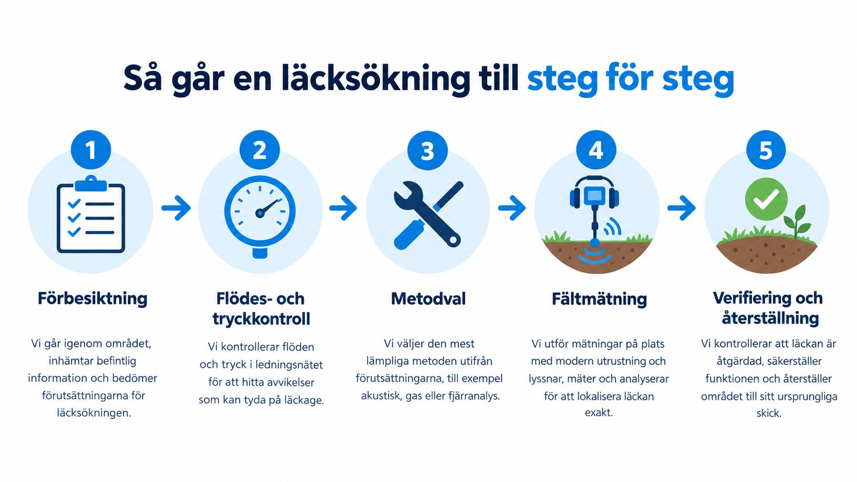 En steg-för-steg-illustration som visar processen för professionell läcksökning av vattenledningar i marken från förbesiktning till återställning.